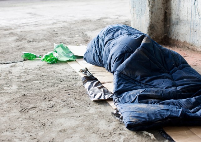 Homeless man sleeping in sleeping bag on cardboard