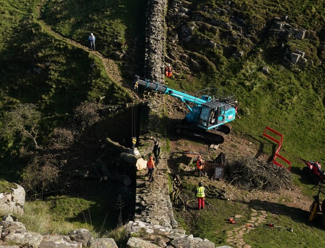 Sycamore Gap tree chopped down by two pals on 'moronic mission', court told