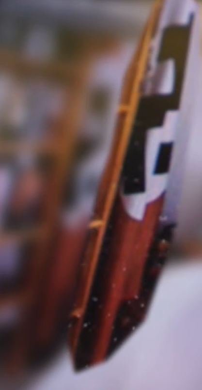 NHS worker had Nazi flag and picture of Hitler in the background of Zoom call, whistleblower claims