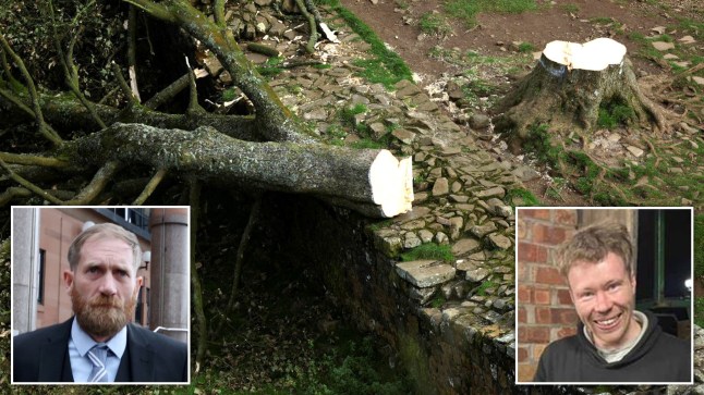 Two men went on ?moronic mission? to fell Sycamore Gap tree, jury told