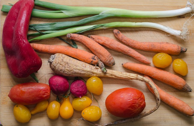 Rotten vegetables on a wooden background. Top view