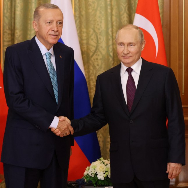 SOCHI, RUSSIA - SEPTEMBER 4 (RUSSIA OUT) Russian President Vladimir Putin (R) shakes hands with Turkish President Recep Tayyip Erdogan (L) during their talks, September 4, 2023 in Sochi, Russia. Turkey's President Erdogan arrived to Russia to discuss the Black Sea grain deal, an agreement that helped get Ukraine's grain to market and thus ease a global food crisis. (Photo by Contributor/Getty Images)