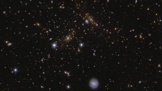 Image shows an area of a patch of sky called the Deep Field South observed by the Euclid space telescope, in this handout released by the European Space Agency on March 19, 2025. Various huge galaxy clusters are visible in this image, as well as intra-cluster light and gravitational lenses. The cluster near the center is called J041110.98-481939.3, and is located almost 6 billion light-years away. European Space Agency(ESA)/Euclid/Euclid Consortium/NASA, image processing by J.-C. Cuillandre, E. Bertin, G. Anselmi/Handout via REUTERS THIS IMAGE HAS BEEN SUPPLIED BY A THIRD PARTY. MANDATORY CREDIT. IMAGE PROCESSED AT SOURCE
