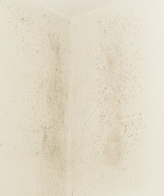Mould on Anne's wall.