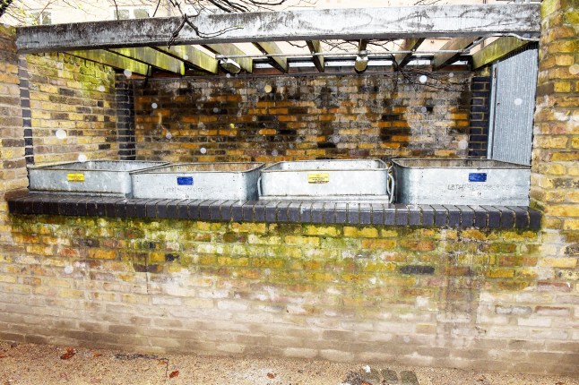 W8media. Housing estate mould feature, east London block of flats where residents are plagued by mould in their homes, please see story for more info. 15/04/2025.