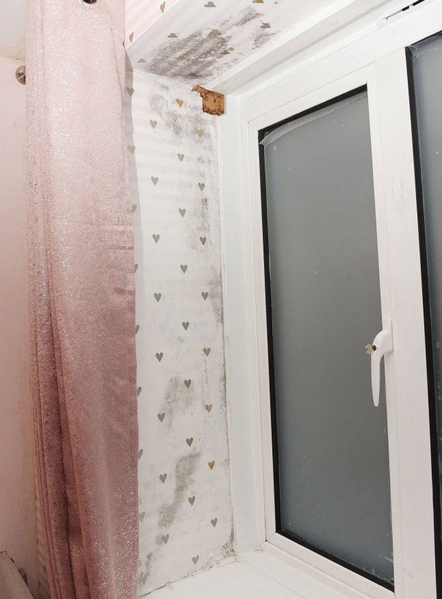 Mould in Anne's bedroom.