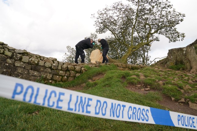 File photo dated 29/09/23 of forensic investigators from Northumbria Police examining the felled Sycamore Gap tree, on Hadrian's Wall in Northumberland. Daniel Graham, 39, and Adam Carruthers, 32, are on trial at Newcastle Crown Court charged with two counts each of criminal damage. They are jointly charged with causing criminal damage worth ?622,191 to the much-photographed Northumberland tree. Issue date: Tuesday April 29, 2025. PA Photo. See PA story COURTS SycamoreGap. Photo credit should read: Owen Humphreys/PA Wire