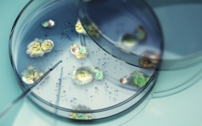 3d Render Testing Liquid from Glass Pipette to Moldy Fungi in Petri Dish on Reflective Background, Laboratory and Medical Concept (Depth Of Field)