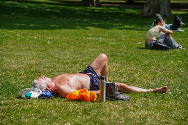 A man seen sunbathing in a park.