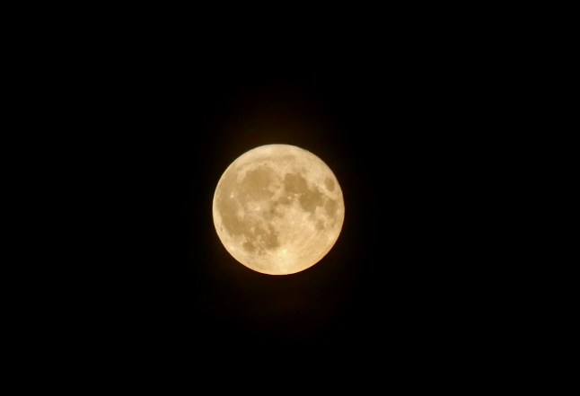 Mandatory Credit: Photo by Geoffrey Swaine/Shutterstock (15296759s) The full Flower moon visible in the early mornings sky. The Full Moon in May is known as the Flower Moon. Other names include the Planting Moon, and the Milk Moon, while some named it the Hare Moon. Full Flower Moon, Dunsden, Oxfordshire, UK - 13 May 2025