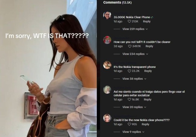 Grab from TikTok video posted by @askcatgpt CatGPT https://www.tiktok.com/@askcatgpt/video/7504372418161560878?is_from_webapp=1&sender_device=pc