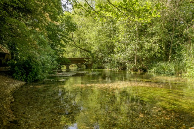 Pictured: River Loddon in Old Basing, near Basingstoke, Hampshire. A historic chalk stream immortalised in poetry but under threat from pollution is set to be granted 'personhood' - giving it the right to sue if it is neglected. The River Loddon will be recognised as a legal entity in its own right by a council in Hampshire in a move hailed as a 'landmark' by wildlife campaigners. The waterway - about which 18th century Poet Laureate Thomas Wharton wrote a sonnet in which he praised the 'sweet native stream' - has been dubbed 'The Cinderella River' as it is 'hard working but overlooked'. Now in a 'major victory for nature' a local authority has voted for it to acquire a legal status that environmentalists say will help restore it to its former glory. SEE OUR COPY FOR DETAILS. Please byline: Simon Czapp/Solent News ?? Simon Czapp/Solent News & Photo Agency UK +44 (0) 2380 458800