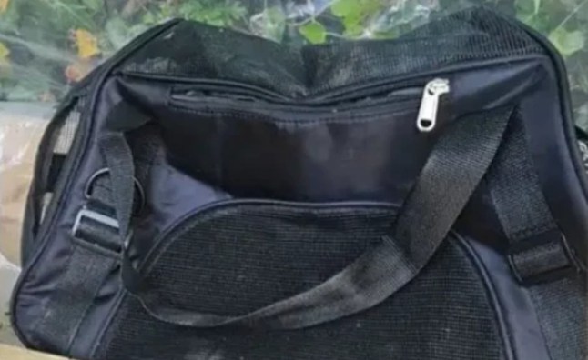 On Saturday, 3 May police received a report from a member of the public stating that two teenagers had allegedly dismembered two kittens in Ickenham Road, Ruislip.