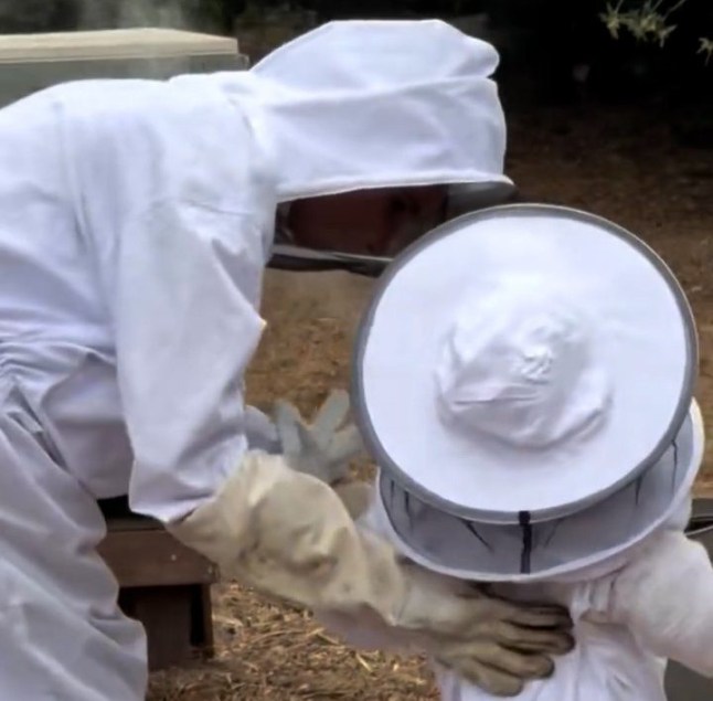 A screengrab showing Meghan Markle with Lilibet dressed in beekeeper's outfits.