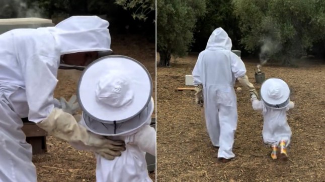 Screengrabs showing Lilibet and Meghan Markle dressed in beekeeper's suits.