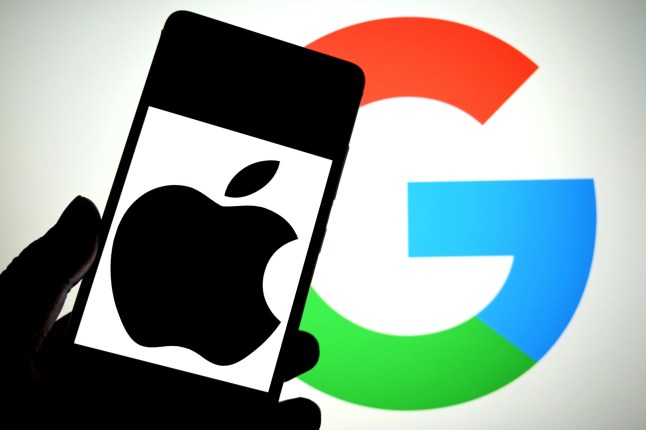 Facebook, Apple, Google and Netflix hit by massive login and password data leak post thumbnail image
