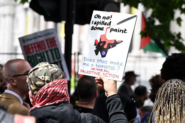 Palestine Action Campaigners Call Emergency Demonstration As Group Set To Be Proscribed By UK Government
