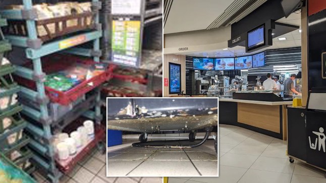 Mouse droppings discovered ‘throughout’ kitchen at McDonald’s franchise post thumbnail image