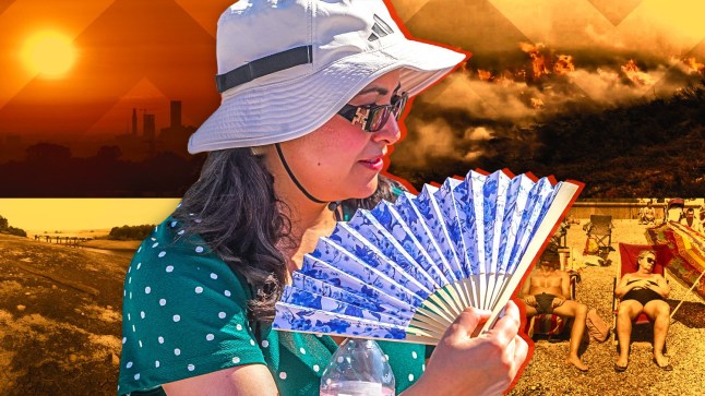 Extreme heat is likely to become a factor that people in the UK will have to learn to live with, according to an experienced meteorologist (Picture: Shutterstock/SWNS/Alamy Live/LNP)
