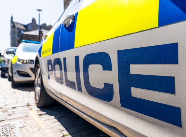 The word 'Police' below the fluorescent decals on a police car on a UK street, with other police vehicles in the distance.