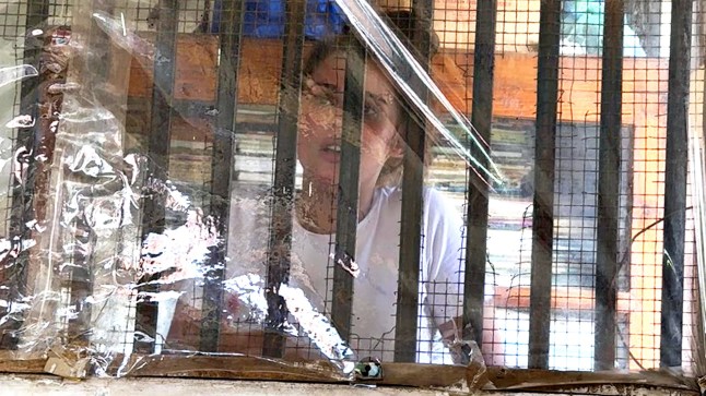 Inside maggot-infested 'hellhole' prison where a young Brit air stewardess faces being locked up after she 'smuggled 100lb of synthetic cannabis into Sri Lanka': Inmates tell of being treated 'less than human' Charlotte May Lee, 21, from Coulsdon, south London,