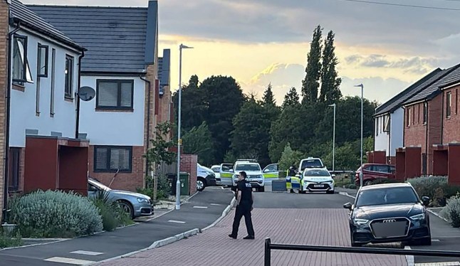 Police bomb squad on Bixton Close.