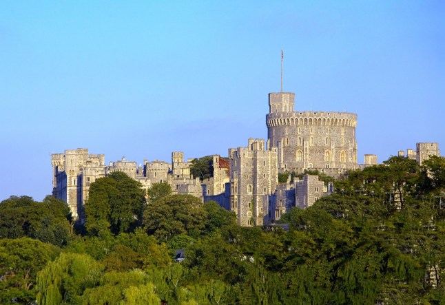 Windsor Castle behind some trees.