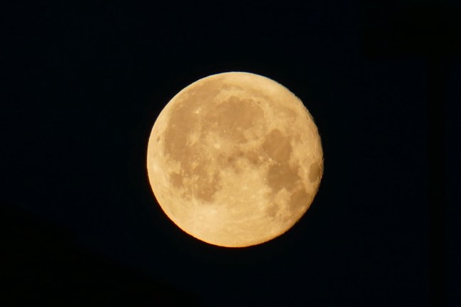 The Strawberry Moon in Berkshire in June 2024.