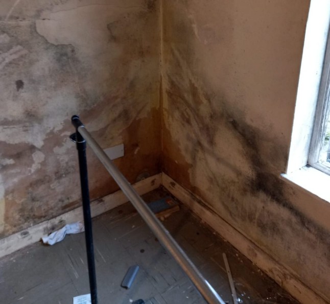 Mould and damp in Sanjay's house.