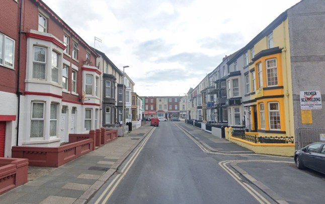 Man and woman mauled in ‘Bully’ attack with three dogs seized post thumbnail image
