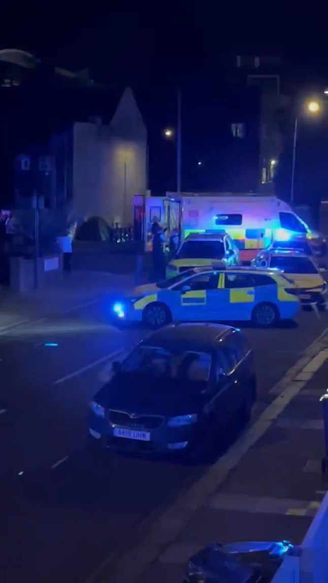 Man, 30, shot dead in west London is named