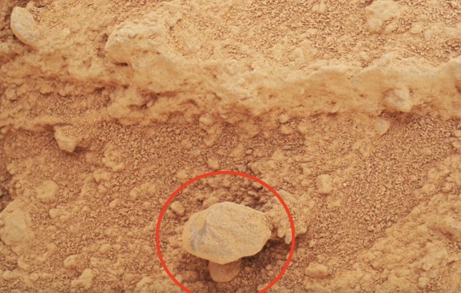 Expert gives verdict on ‘wrinkled mushroom’ spotted on Mars post thumbnail image