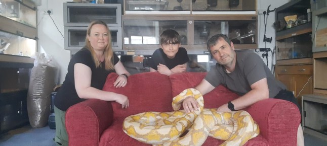 RSG Reptiles owners Susan and Rob Stokes and their son George with the fifth python. Copyright - RSG Reptiles