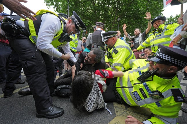 Thirteen arrested after ‘draconian’ police clash with pro Palestinian protesters in London  post thumbnail image
