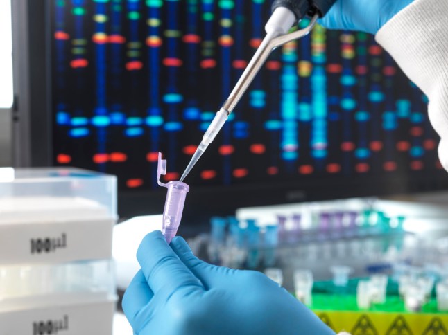 Scientists want to create human DNA from scratch – but how ethical is it? post thumbnail image