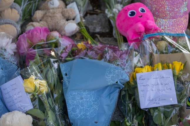 Mandatory Credit: Photo by Penelope Barritt/Shutterstock (15379200u) Floral tributes left in the park close to the tree. Tree collapses causing fatal injuries, Chalkwell Park, Southend on Sea, UK - 29 Jun 2025
