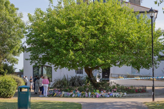 ‘Innocent’ girl, 7, was playing with sisters when falling tree crushed her to death post thumbnail image