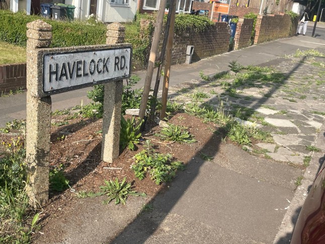 A picture of the road sign for Havelock Road is seen