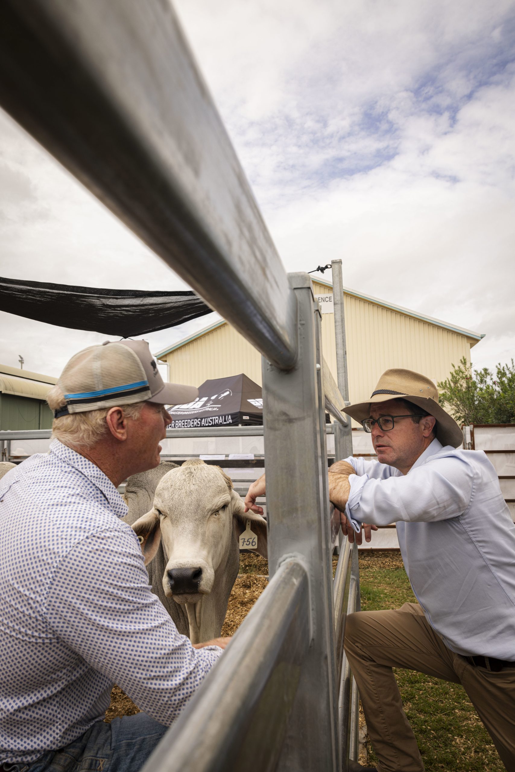 Nationals say government didn’t consult scientific advisory group on US beef ban post thumbnail image