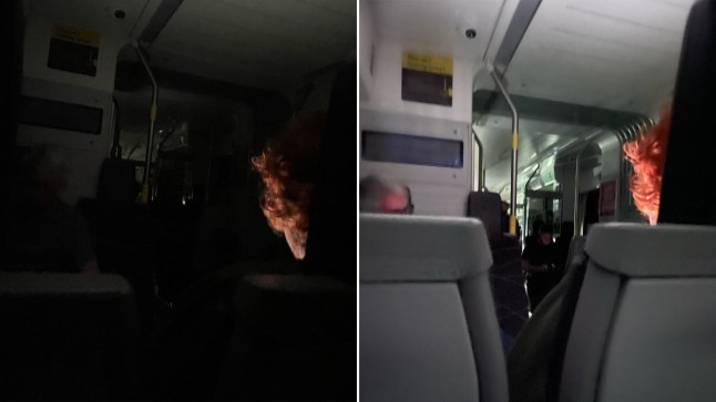 A photo showing passengers stuck inside the dark train.