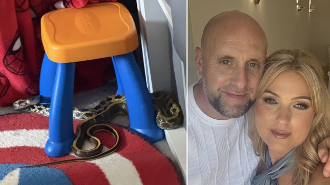 Girl, 3, unaware 7ft constrictor snake was slithering in her bedroom while she played post thumbnail image