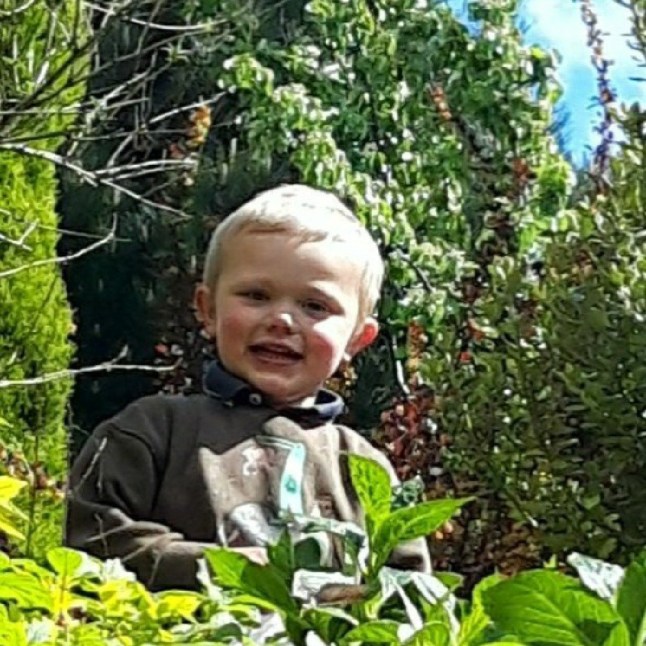 Daniel Twigg. Photo released July 4 2024. A man and a woman have been charged in connection of the death of three-year-old Daniel Twigg from May 2022.Daniel sadly died after sustaining injuries as a result of being attacked by a dangerous dog on Tunshill Lane, Milnrow in Rochdale on Sunday 15 May 2022.Mark Twigg (31/03/1982) of King Street, Radcliffe and Joanne Bedford (16/10/1987) of the same address, have been charged with gross negligence manslaughter.They have been notified to attend a scheduled court appearance at Manchester and Salford Magistrates Court on Wednesday 31 July 2024.