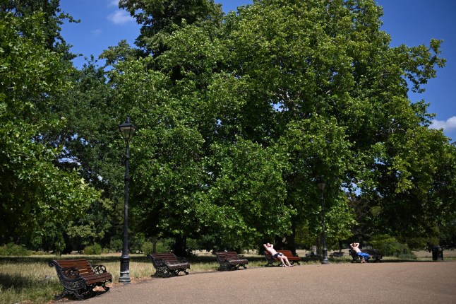 People sunbath on Clapham Common, during warm weather, as temperatures continue to rise across the UK, in London, Britain, June 30, 2025. REUTERS/Dylan Martinez