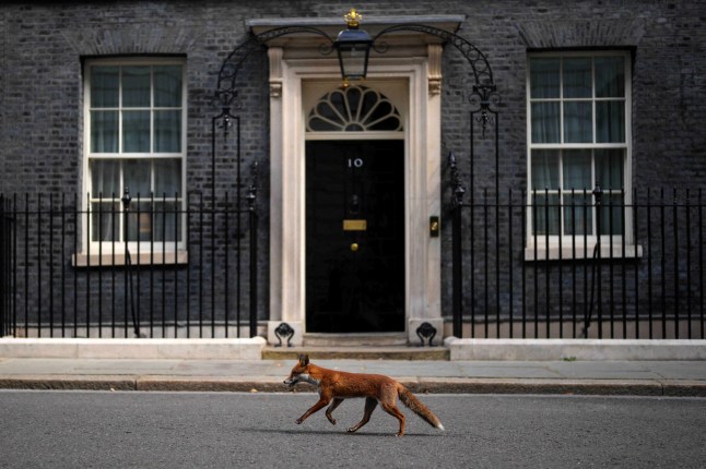 Monzo fined £21,000,000 after customers claim to live at 10 Downing Street post thumbnail image