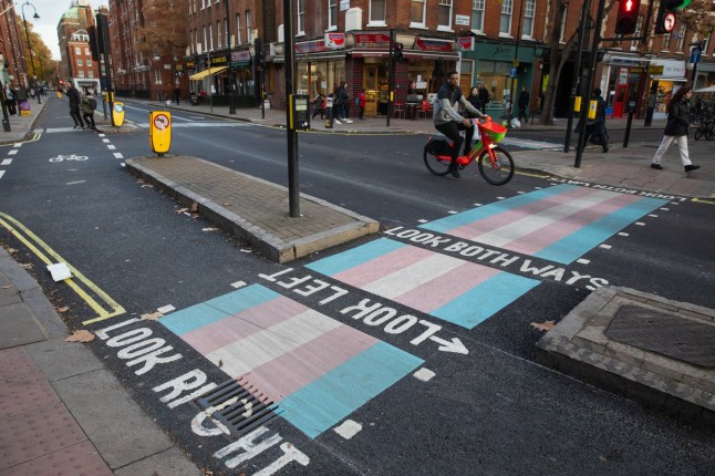 The first transgender flag pedestrian crossing in Camden is pictured on 17th November 2021 in London, United Kingdom. The 'trans crossing' is intended by the London Borough of Camden to demonstrate its commitment to inclusivity. (photo by Mark Kerrison/In Pictures via Getty Images)