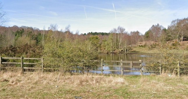 Rufford Colliery Lane, Rainworth, Nottinghamshire (Picture: Google)