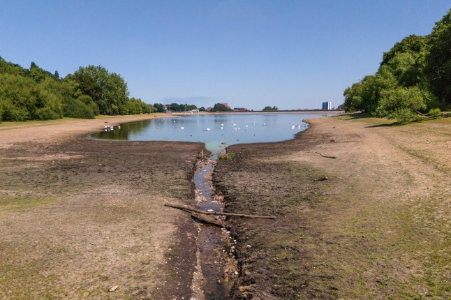 Here’s why a drought is so bad for you post thumbnail image