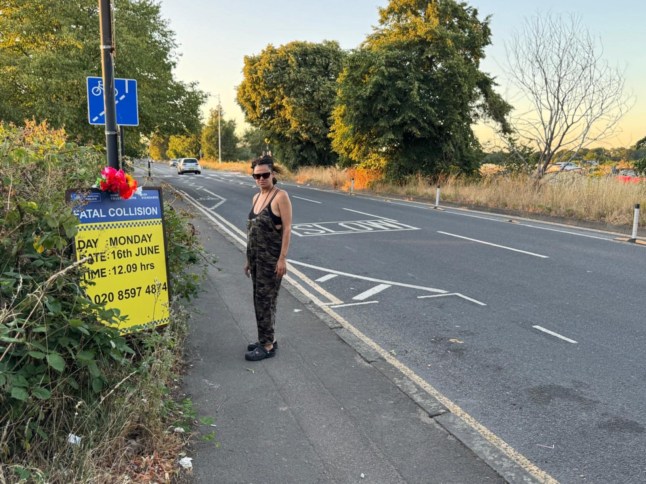Barry Shonibare's daughter near the crash site where he was knocked off his bike in Wanstead Flats.