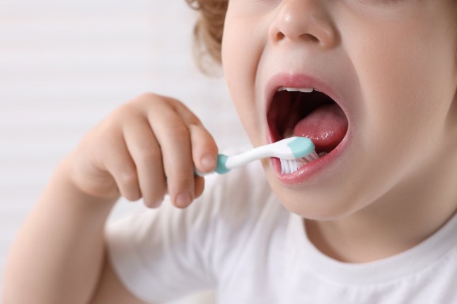 Little boy brushing his teeth with plastic toothbrush on white background, closeup; Shutterstock ID 2376809515; purchase_order: -; job: -; client: -; other: -