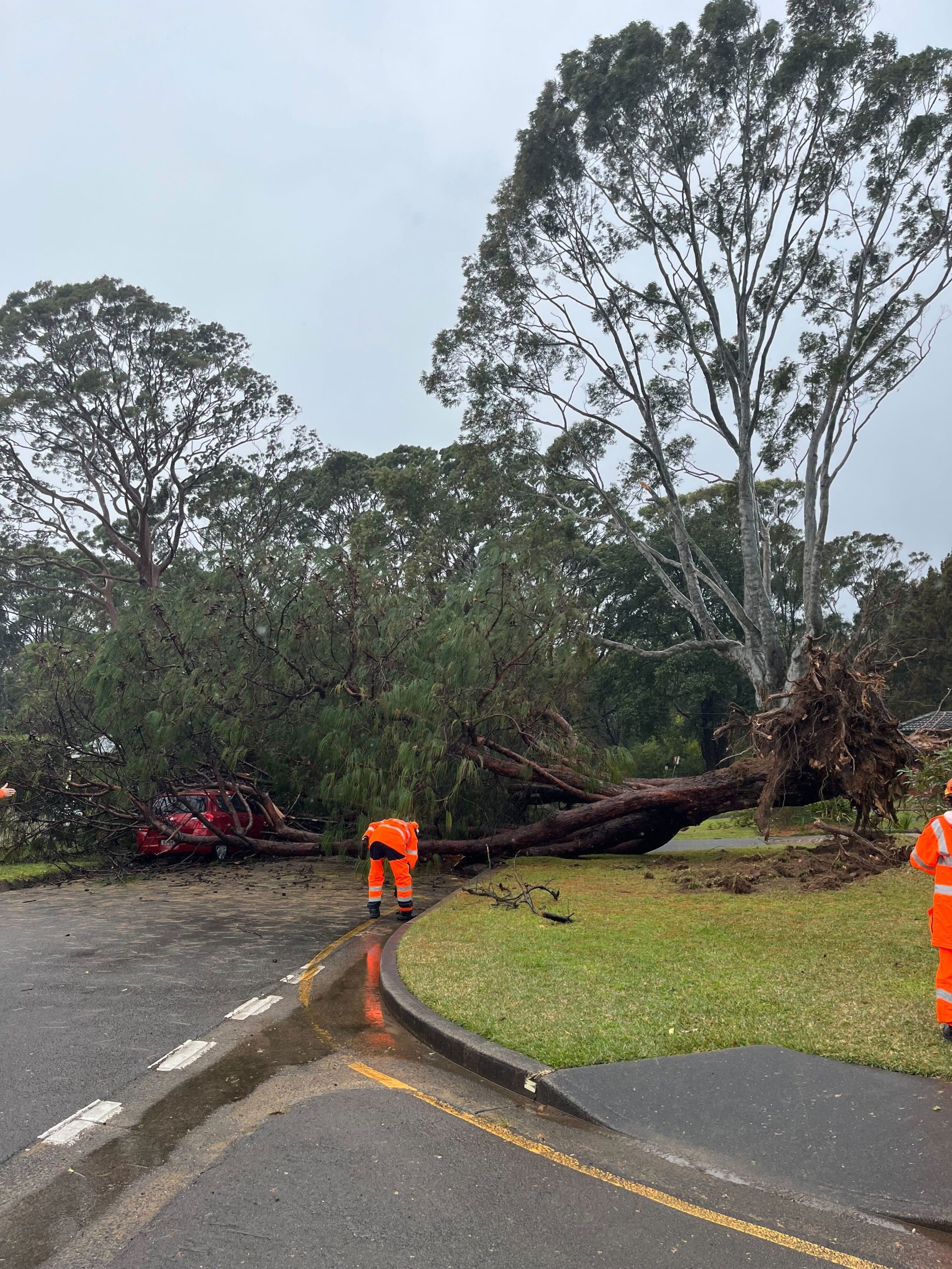 NSW coast smashed by ‘bomb cyclone’ post thumbnail image